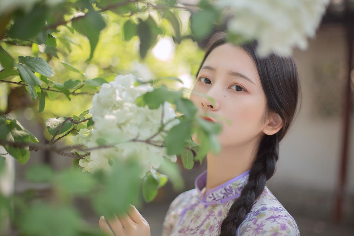 穆穆清风至 - 摄影：双木嘉容 - 模特：五月的三花猫-艺语图