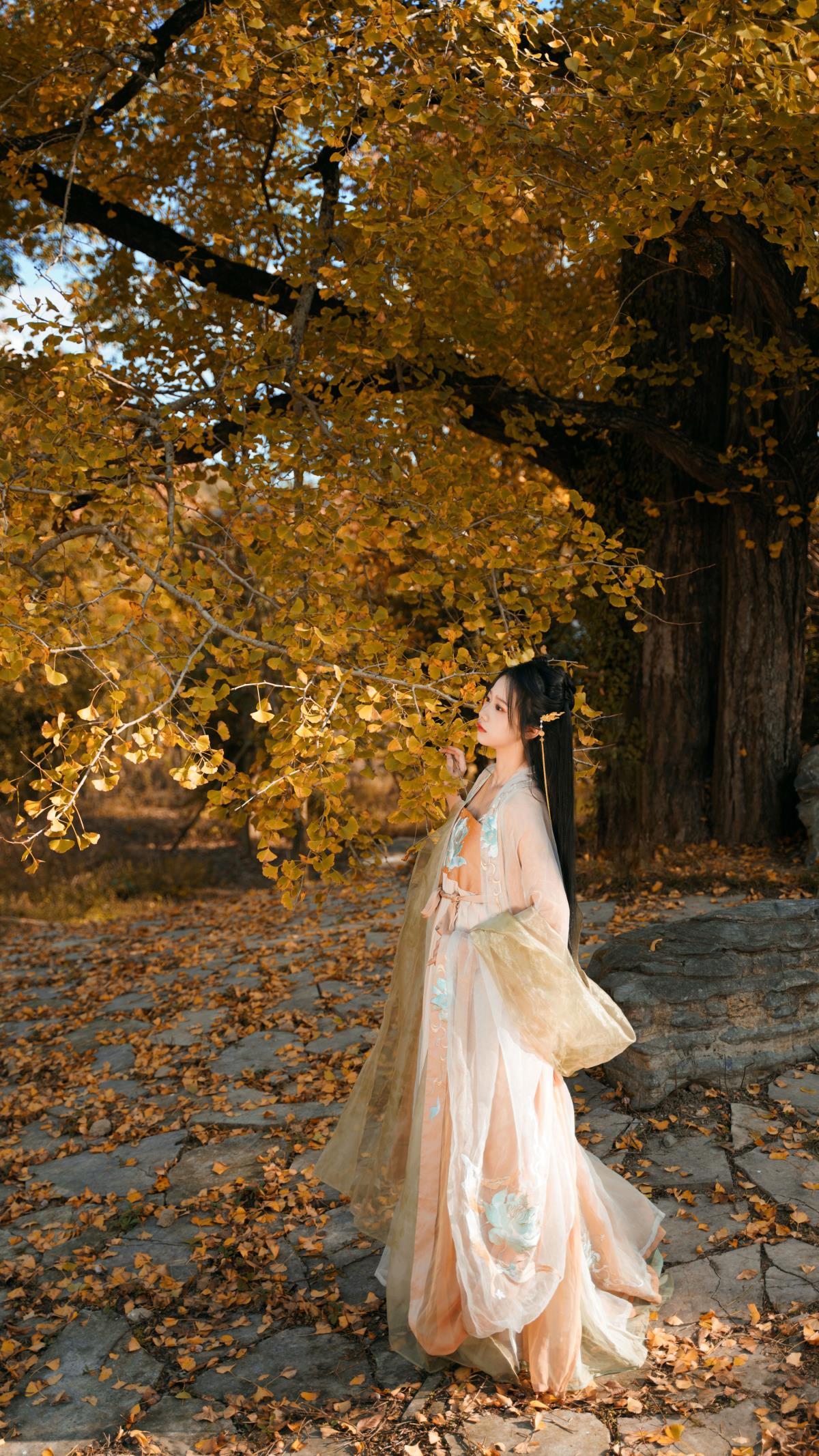 银杏树下 - 摄影：游侠7W580 - 模特：舒舒酱-艺语图