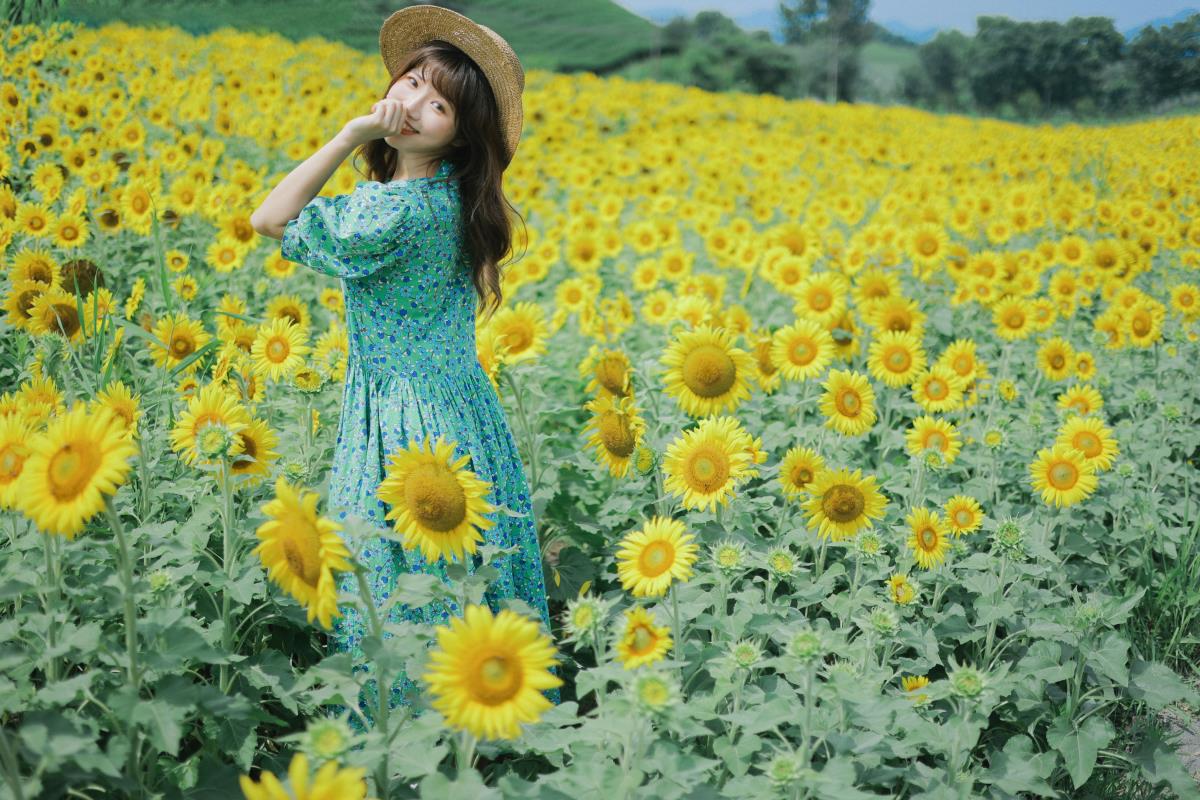 向日葵的夏日 - 摄影：蓝胖子 - 模特：蓝胖子-艺语图
