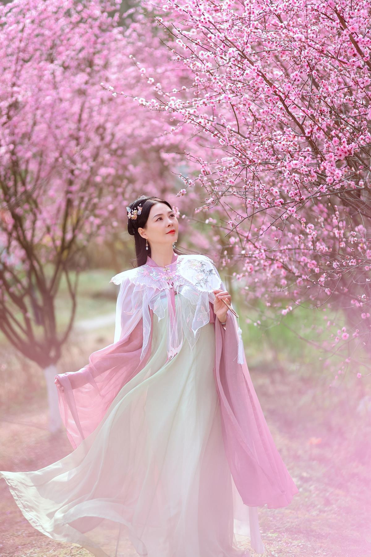 暖春樱色 - 摄影：龍叔 - 模特： 阿莲-艺语图