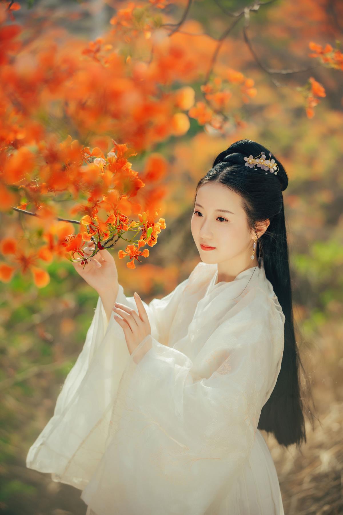 凤凰花开 – 摄影：米木兮 – 模特：粥米饭-艺语图