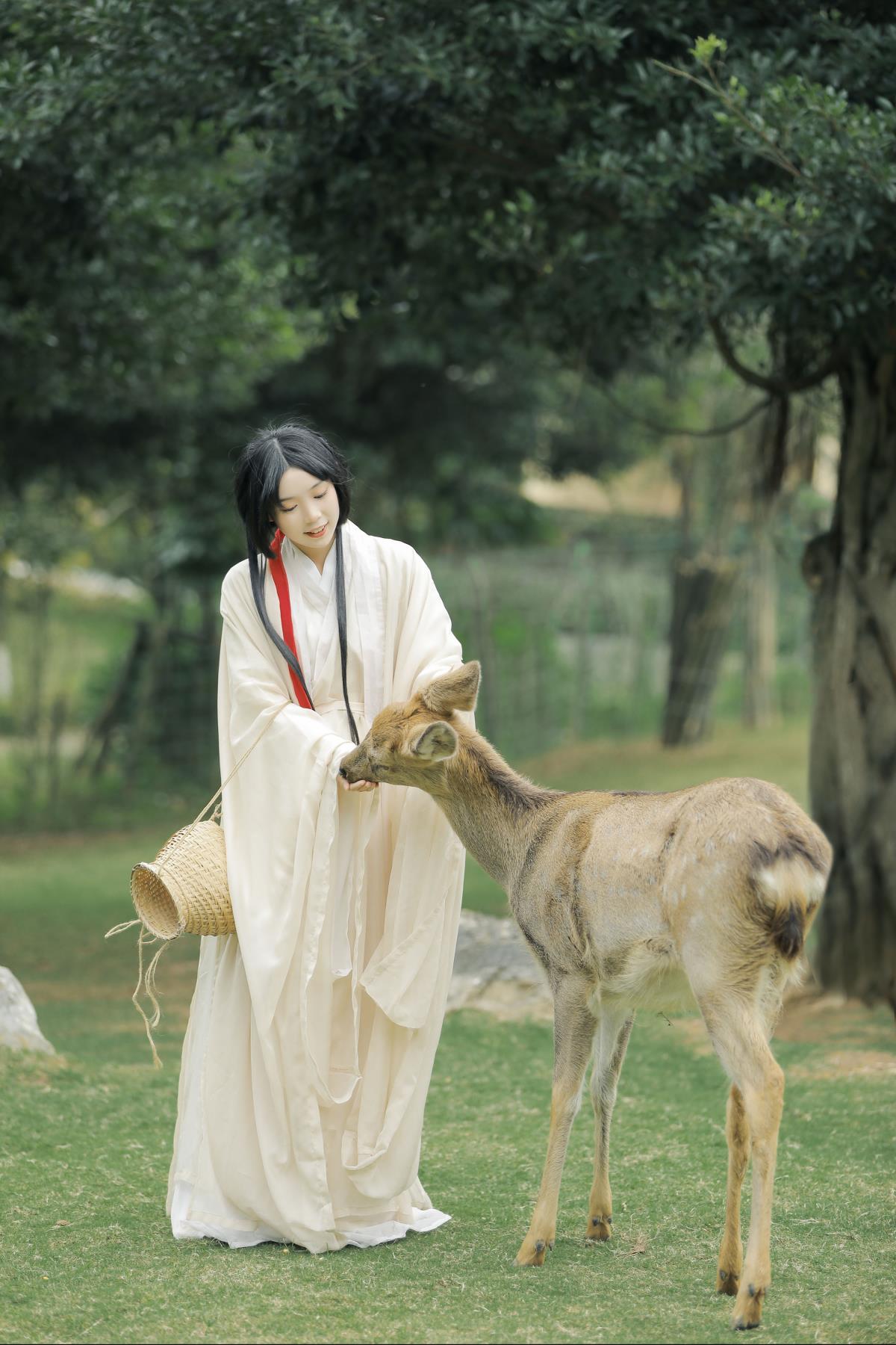 鹿鸣 - 摄影:沉诗思 - 模特:槐枝--艺语图