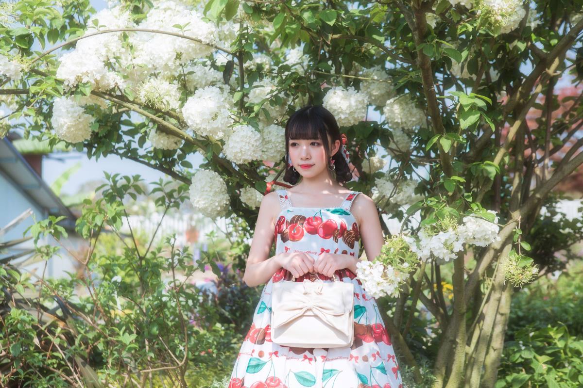 绣球花 - 摄影：井月 - 模特：小风加载中-艺语图