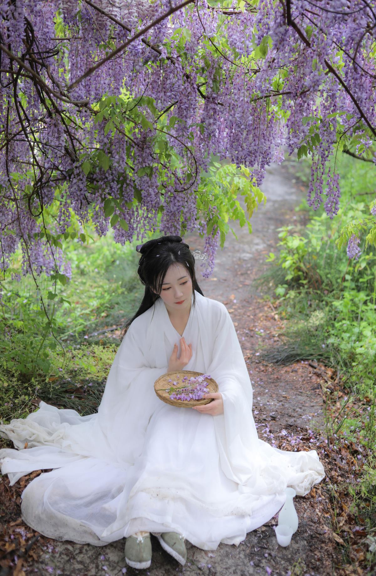 紫藤 – 摄影：甜汐 – 模特：文鱼-艺语图