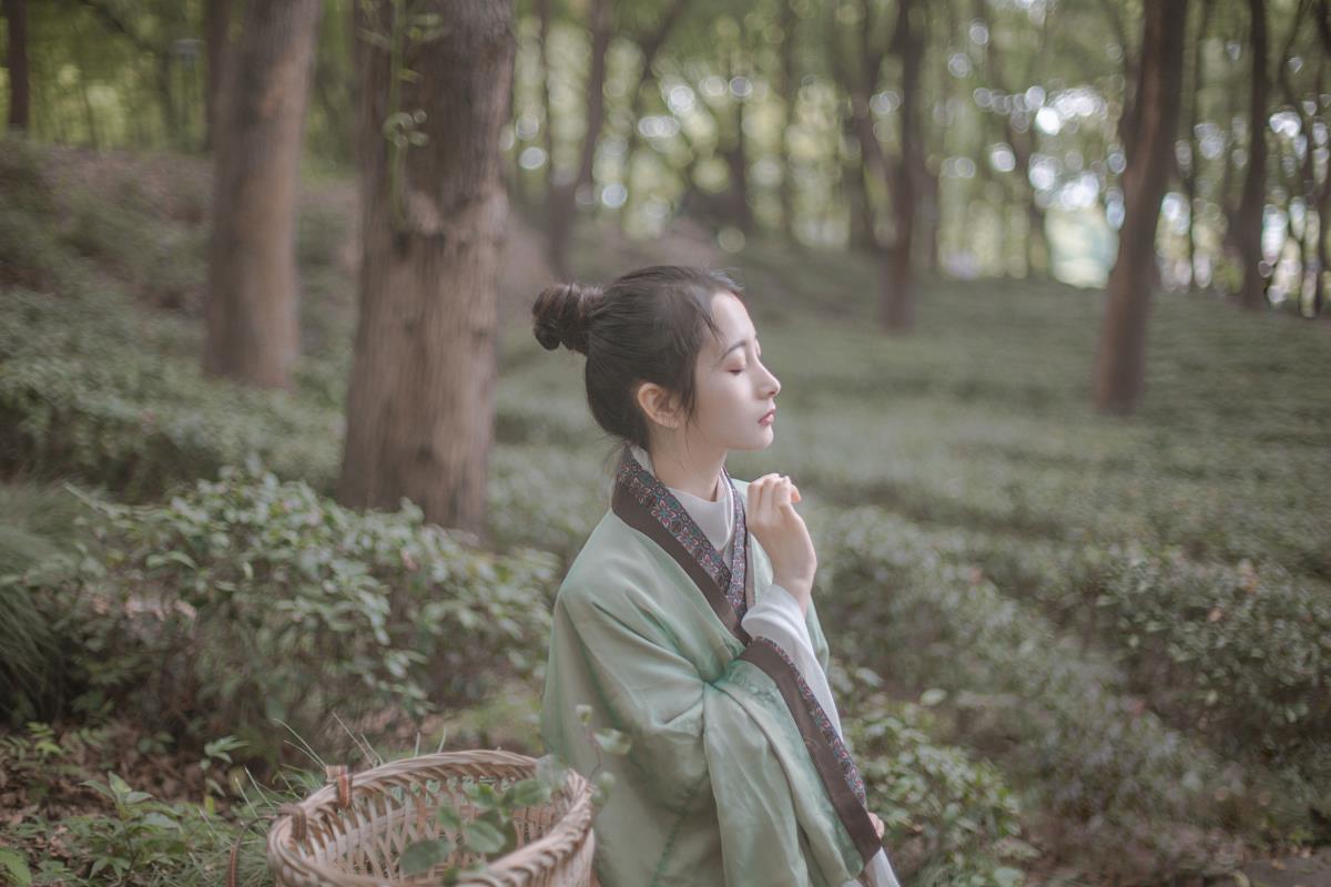 图片[1]-赠隐者 – 摄影：双木嘉容 – 模特：五月的三花猫-艺语图