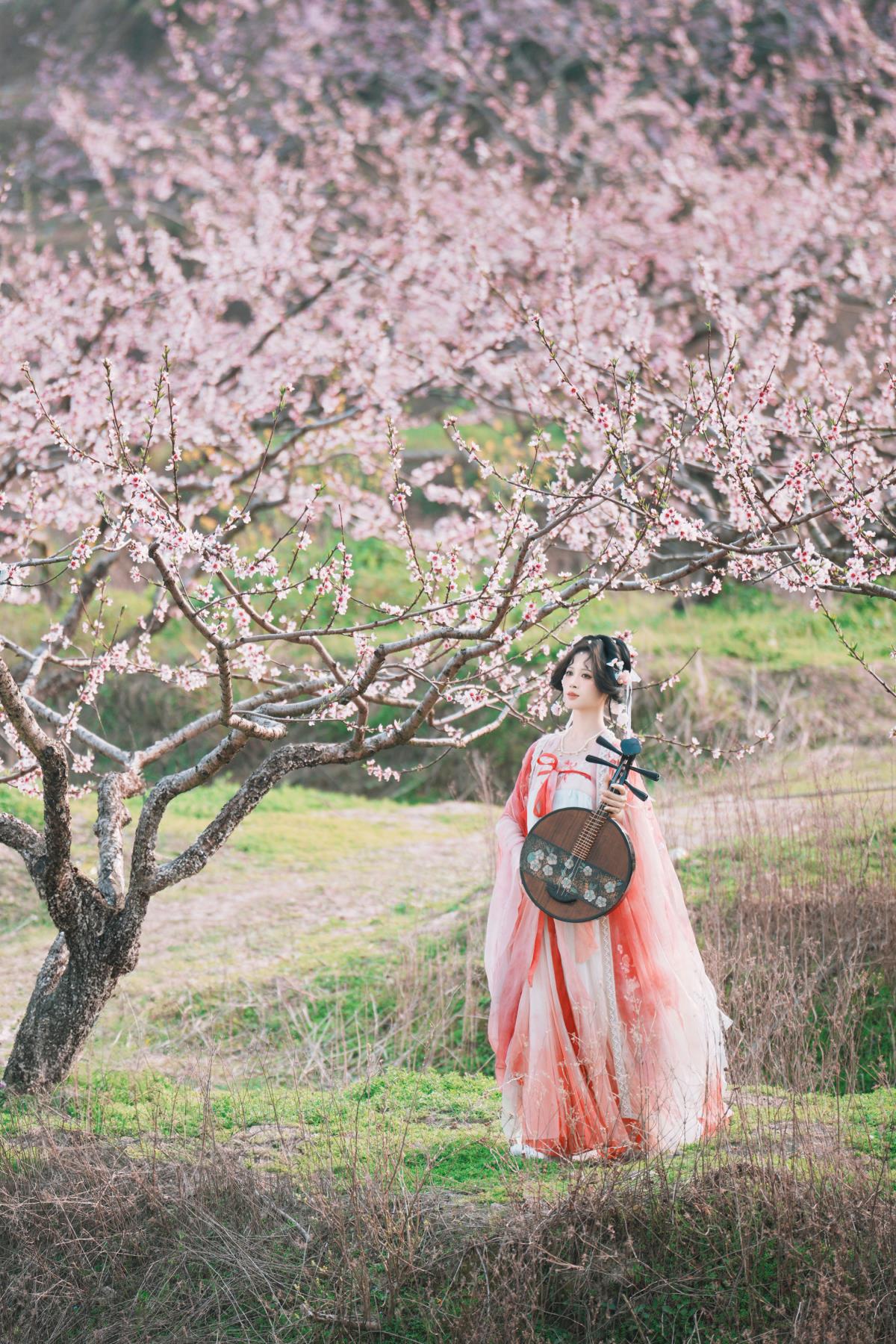 古风桃花人像 - 摄影：小蜜蜂 - 模特：夏煦-艺语图