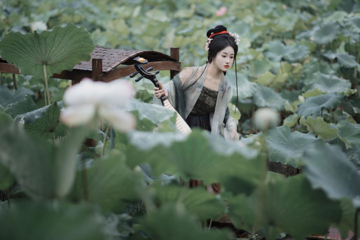 雨中采荷 - 摄影：若寒Rock - 模特：原地掉线去夜闹-艺语图