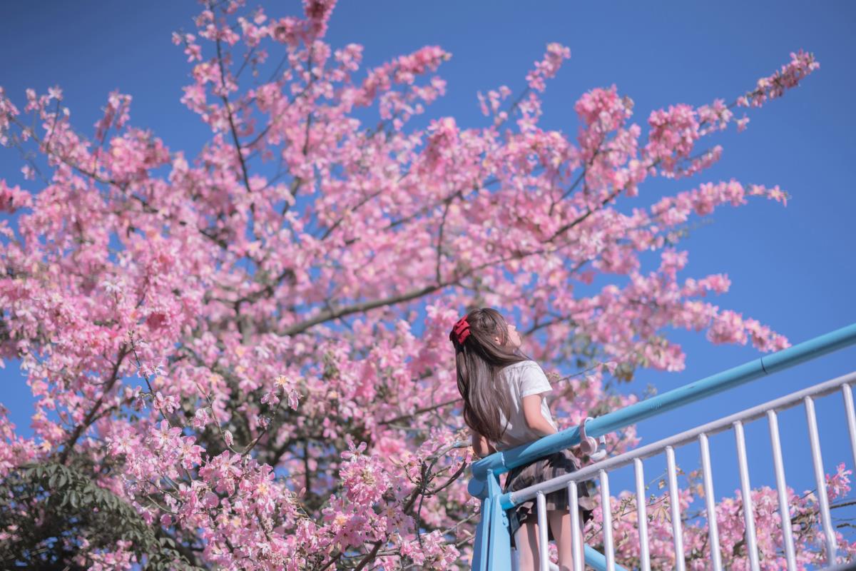 异木棉花 – 摄影：悠长假期 – 模特：萌芽儿o0-艺语图