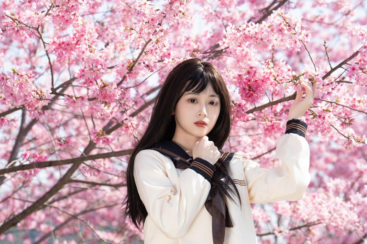 樱花少女 – 摄影：西夏 – 模特：安琪不吃香菇-艺语图