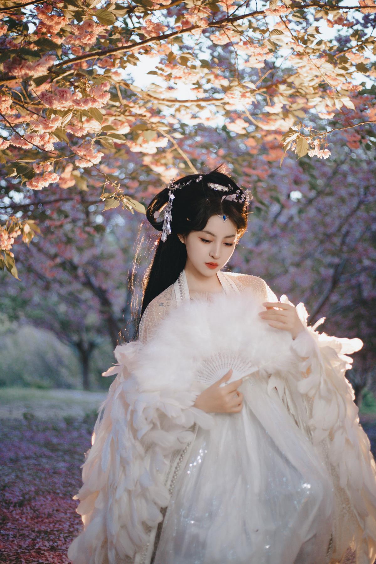 白凤 - 摄影：倾海的小健健呀 - 模特：壹萱--艺语图