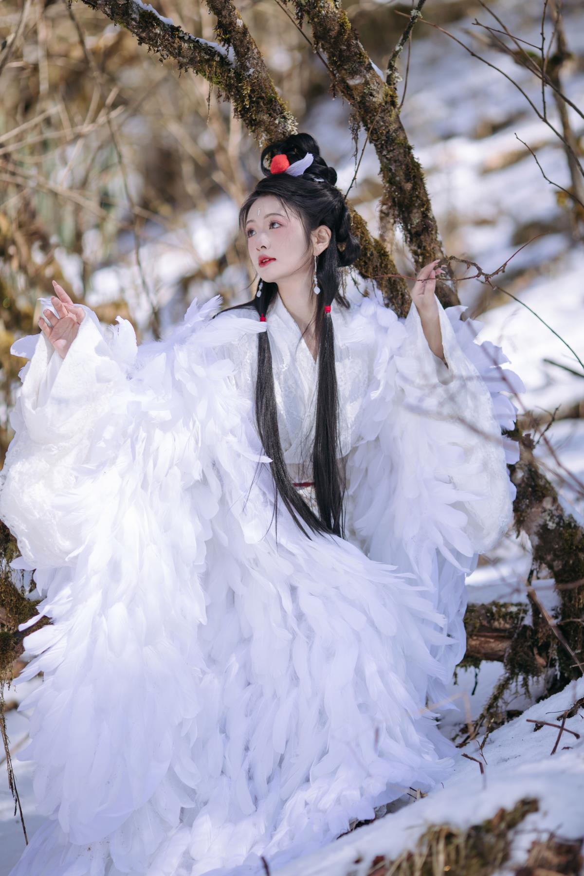 鹤族圣女 - 摄影：晓山青 - 模特：赤嫣在这里～-艺语图