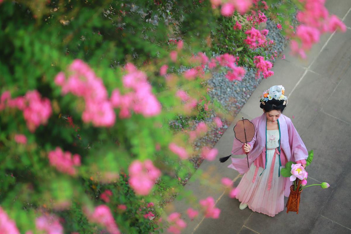 紫薇花开 – 摄影：青城一玲 – 模特：一只大大大李子-艺语图