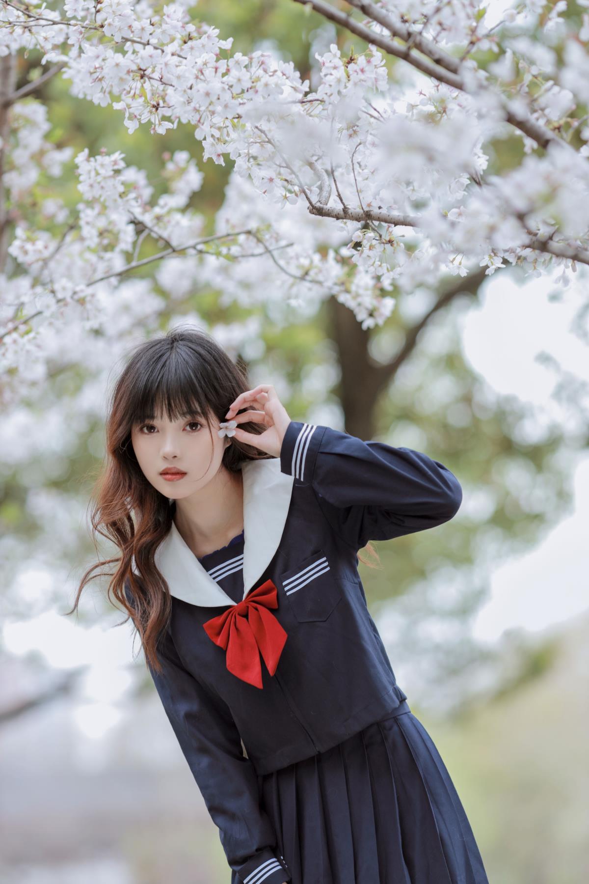 樱花树下 - 摄影：芥茉 - 模特：小薇人儿-艺语图