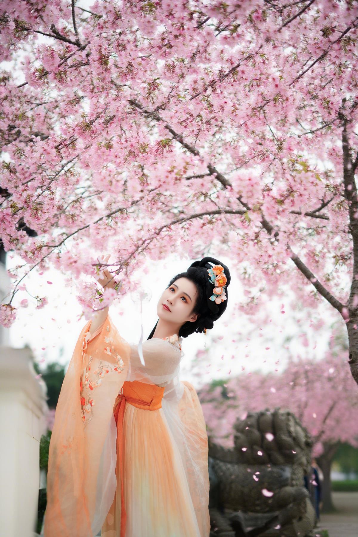 樱花树下 - 摄影：破晓X - 模特：艳子-艺语图