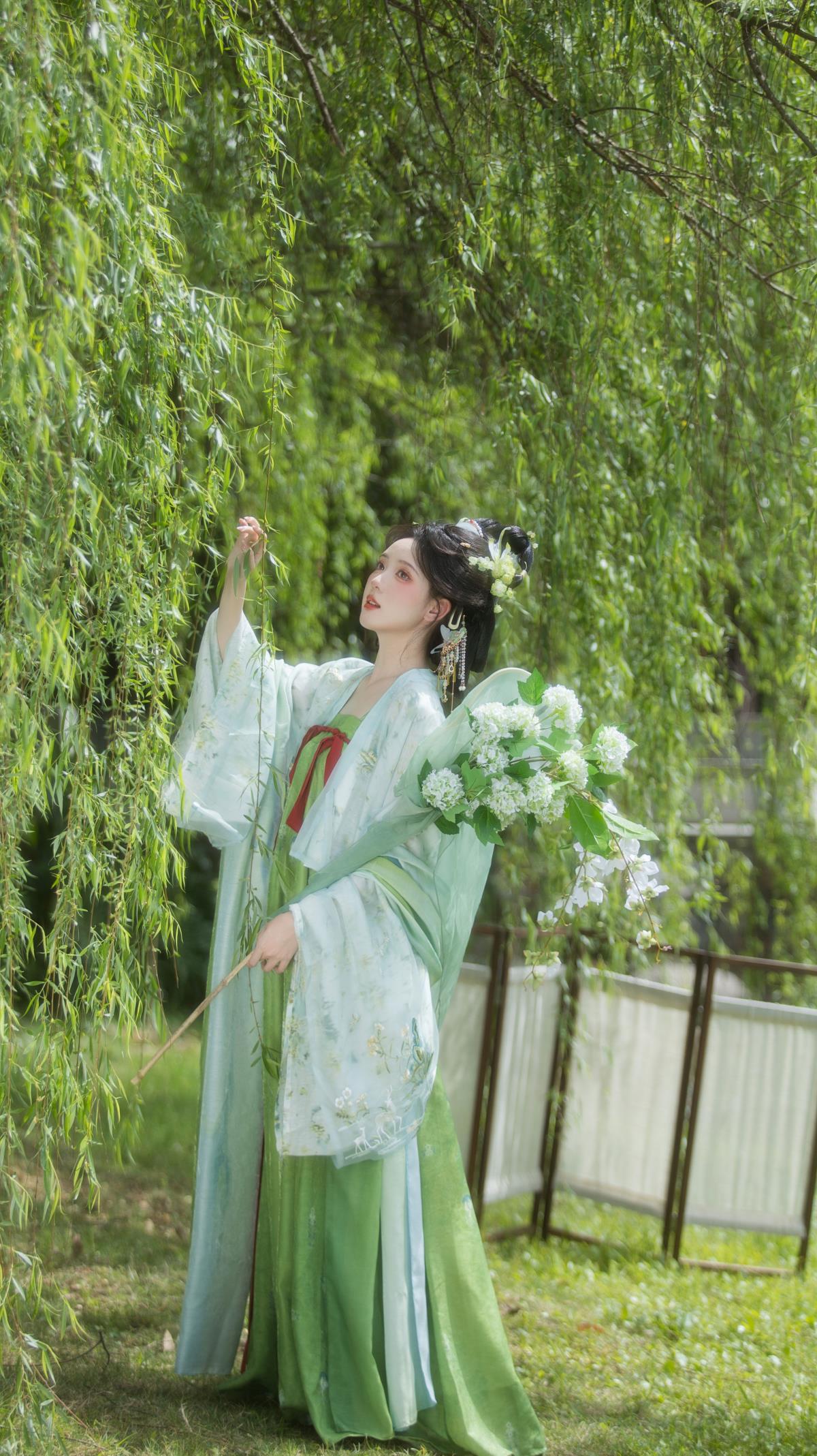 杨柳依依 –-艺语图