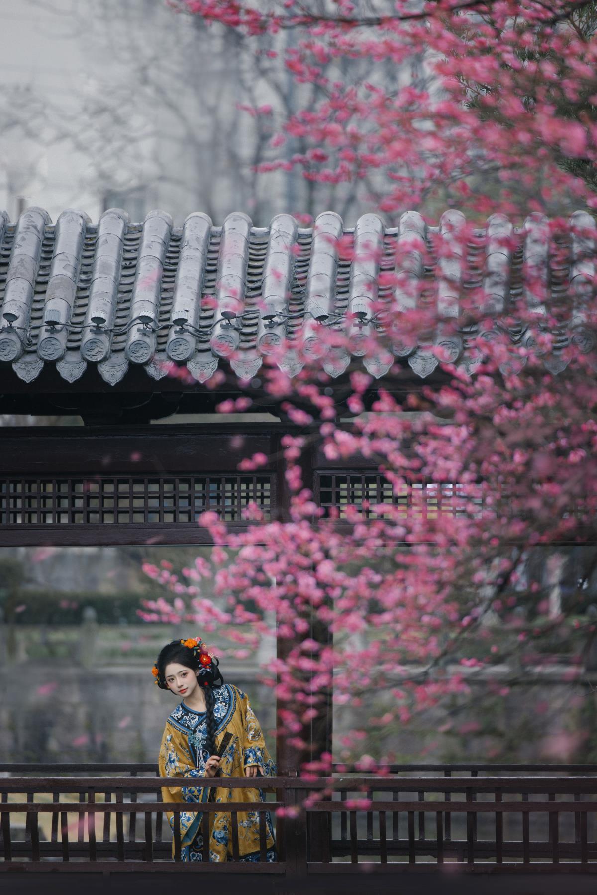 红梅 - 摄影：摄影米若 - 模特：衔鹿-艺语图