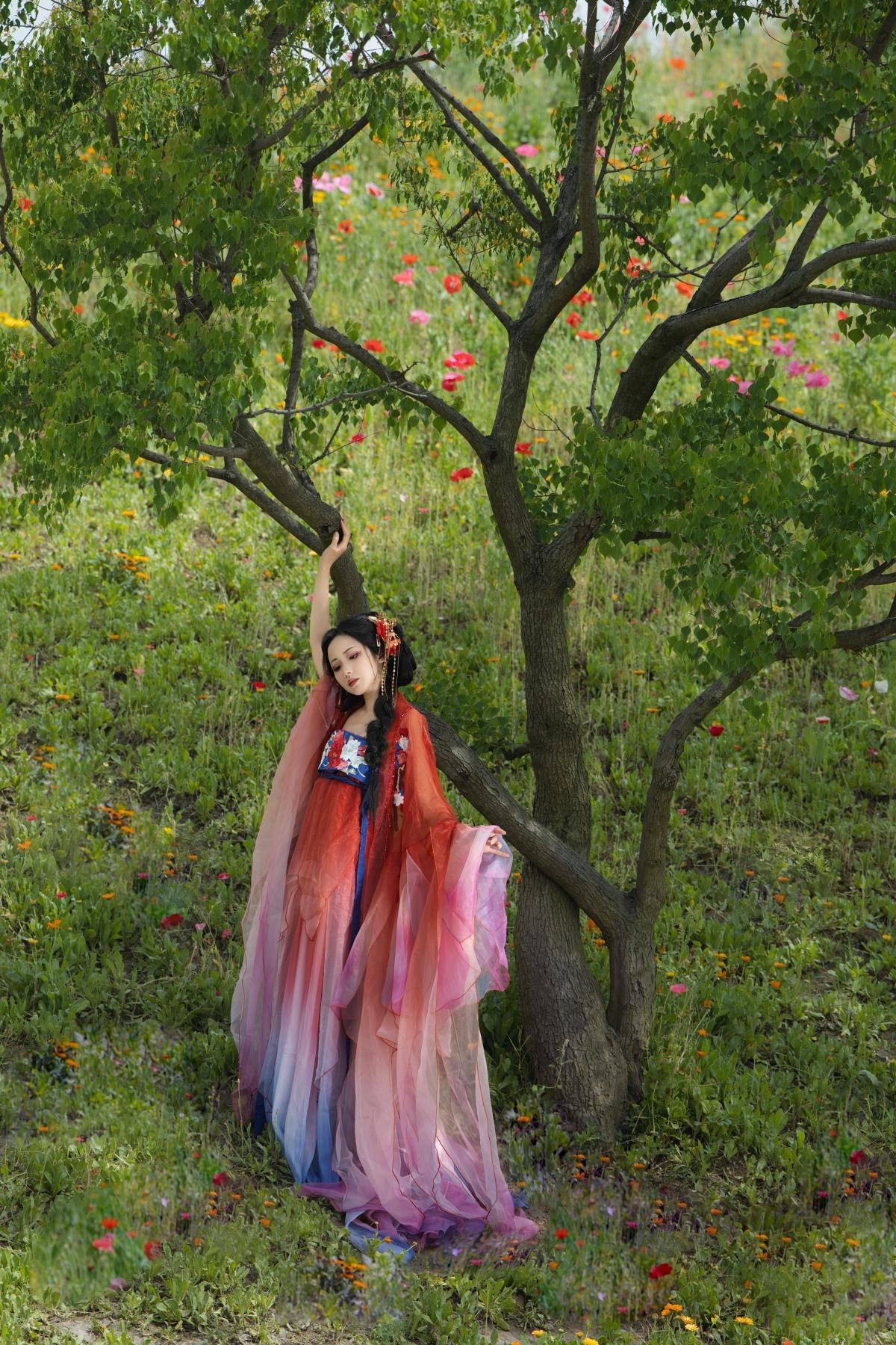 虞美人 - 摄影：瑾之 - 模特：羊羊-艺语图