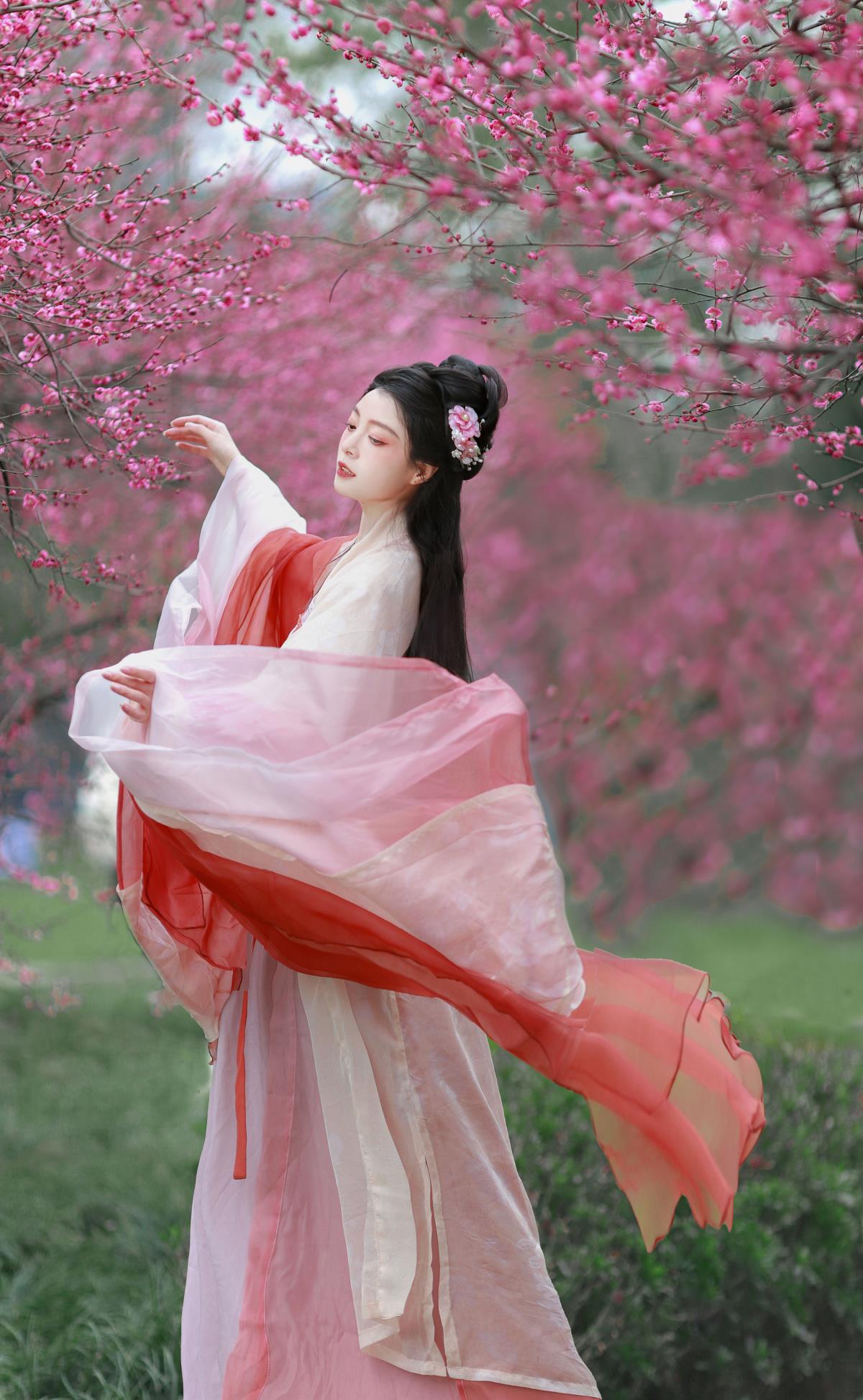 红梅 - 摄影：卷卷不卷w - 模特：岁岁如意-艺语图