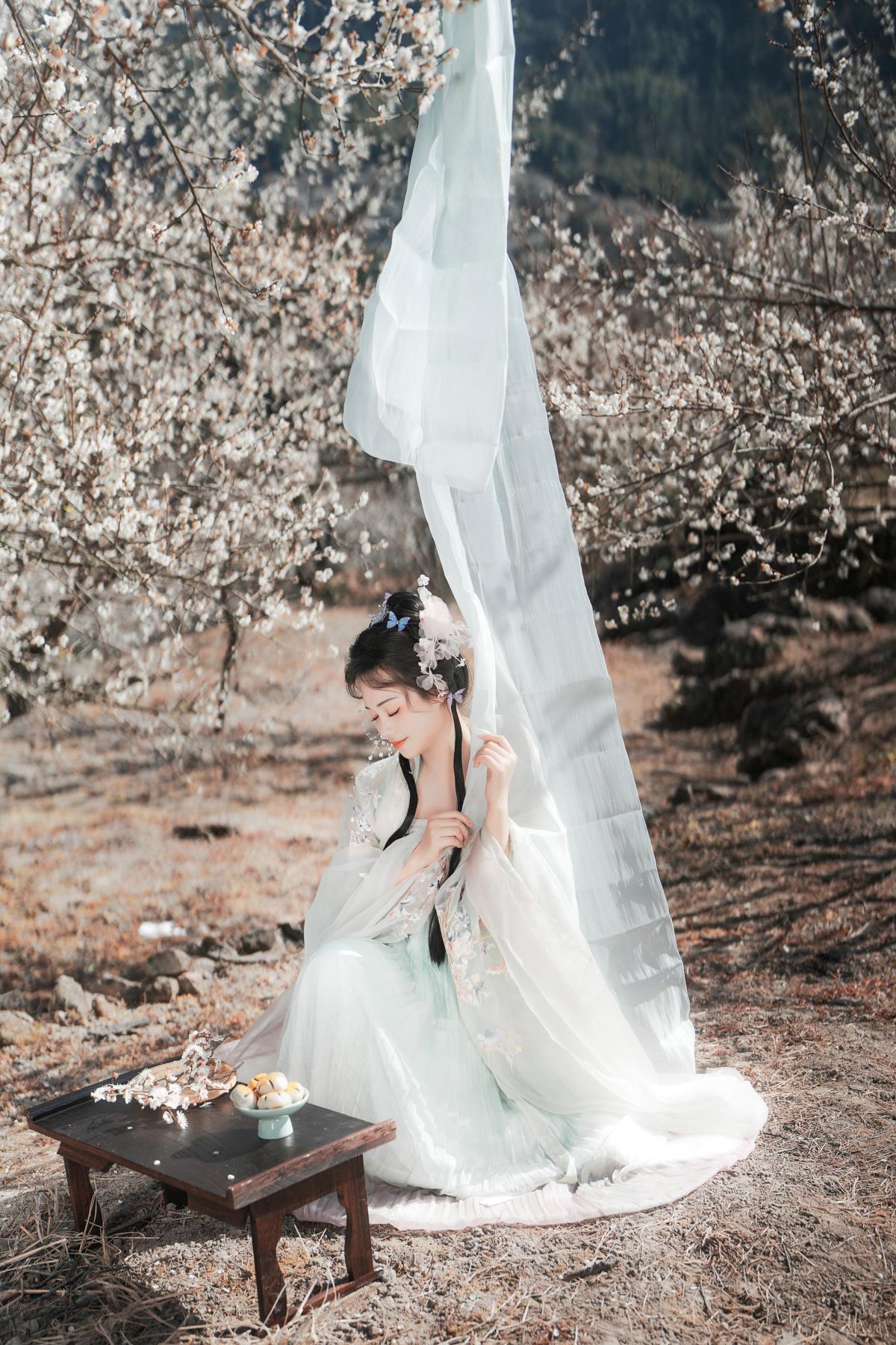 梅花古风人像拍摄 – 摄影：小蜜蜂 – 模特：泱泱泱呀-艺语图