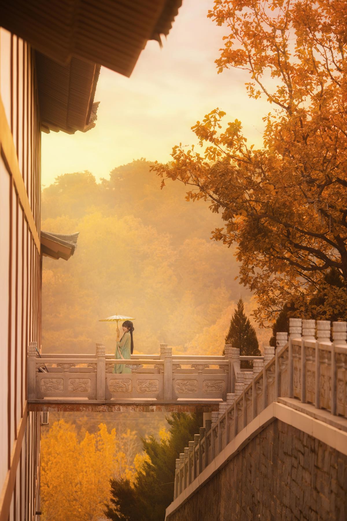 秋意汉服，古韵风华 - 摄影：倾海的小健健呀 - 模特：曲奇-艺语图