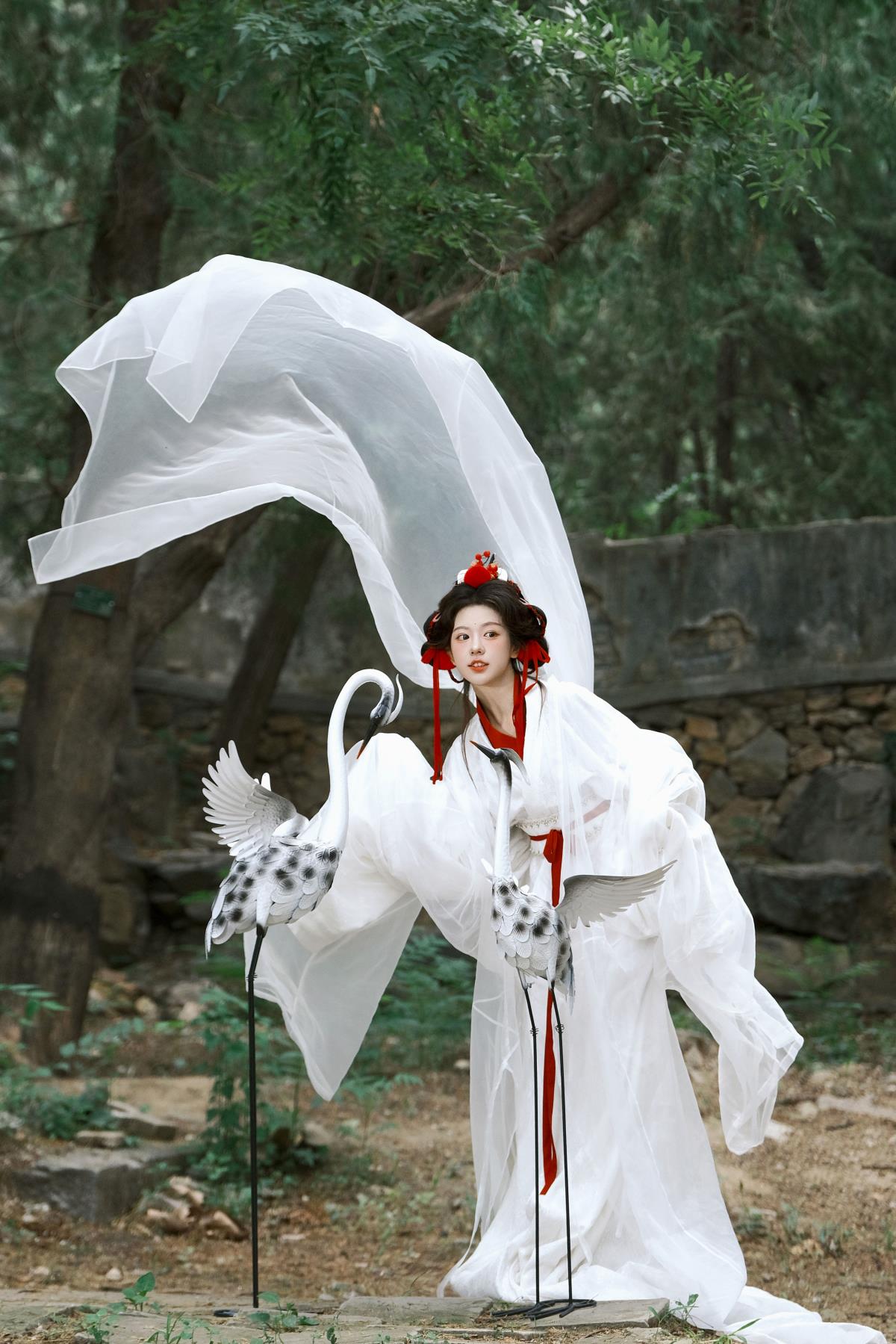 鹤 - 摄影：鸦青 - 模特：整整-艺语图