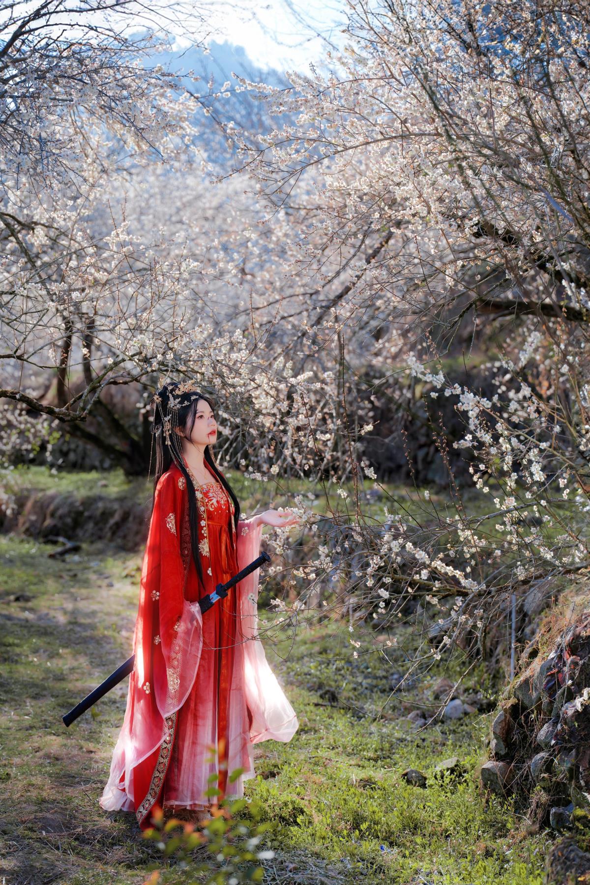 梅花古风人像拍摄 - 摄影:小蜜蜂 - 模特:阿咩-艺语图