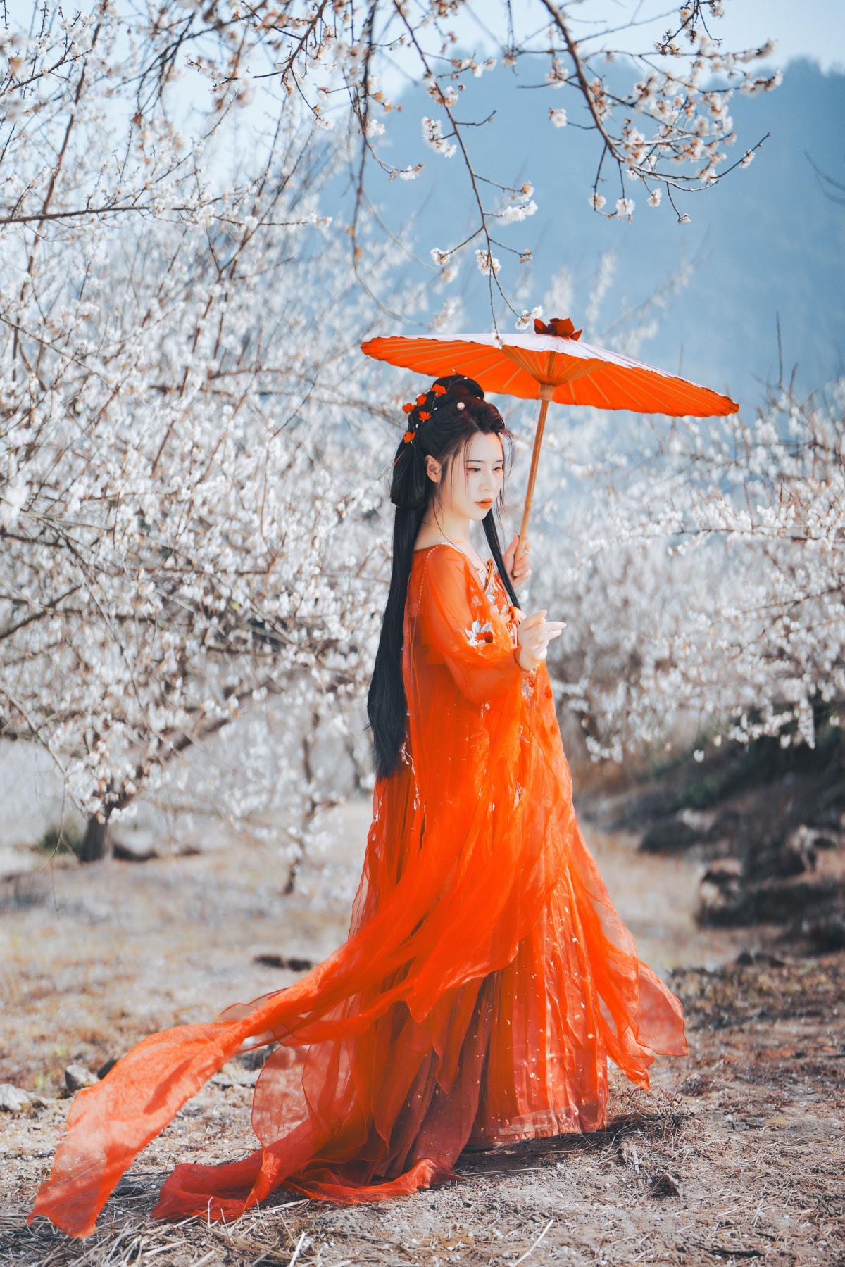 梅花古风人像拍摄 - 摄影：小蜜蜂 - 模特：浅月没有月-艺语图