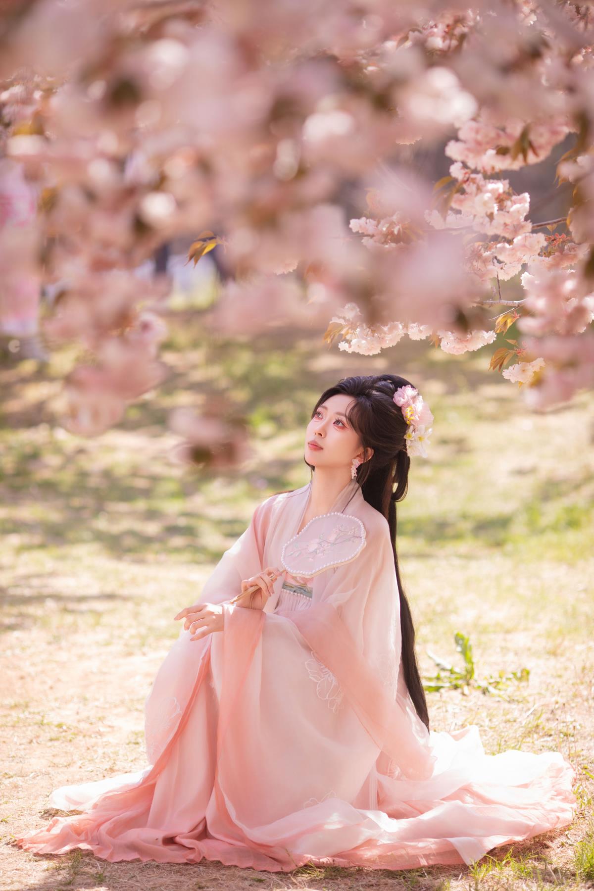 樱园赋·国风少女与花共眠 --艺语图