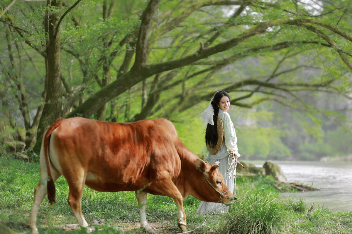 牧牛 - 摄影:从暮暮 - 模特:小清菡呀-艺语图