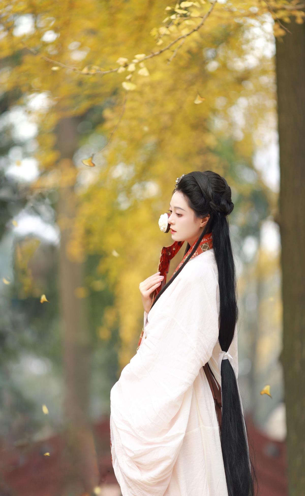 秋之色 – 摄影：卷卷不卷w – 模特：岁岁如意-艺语图
