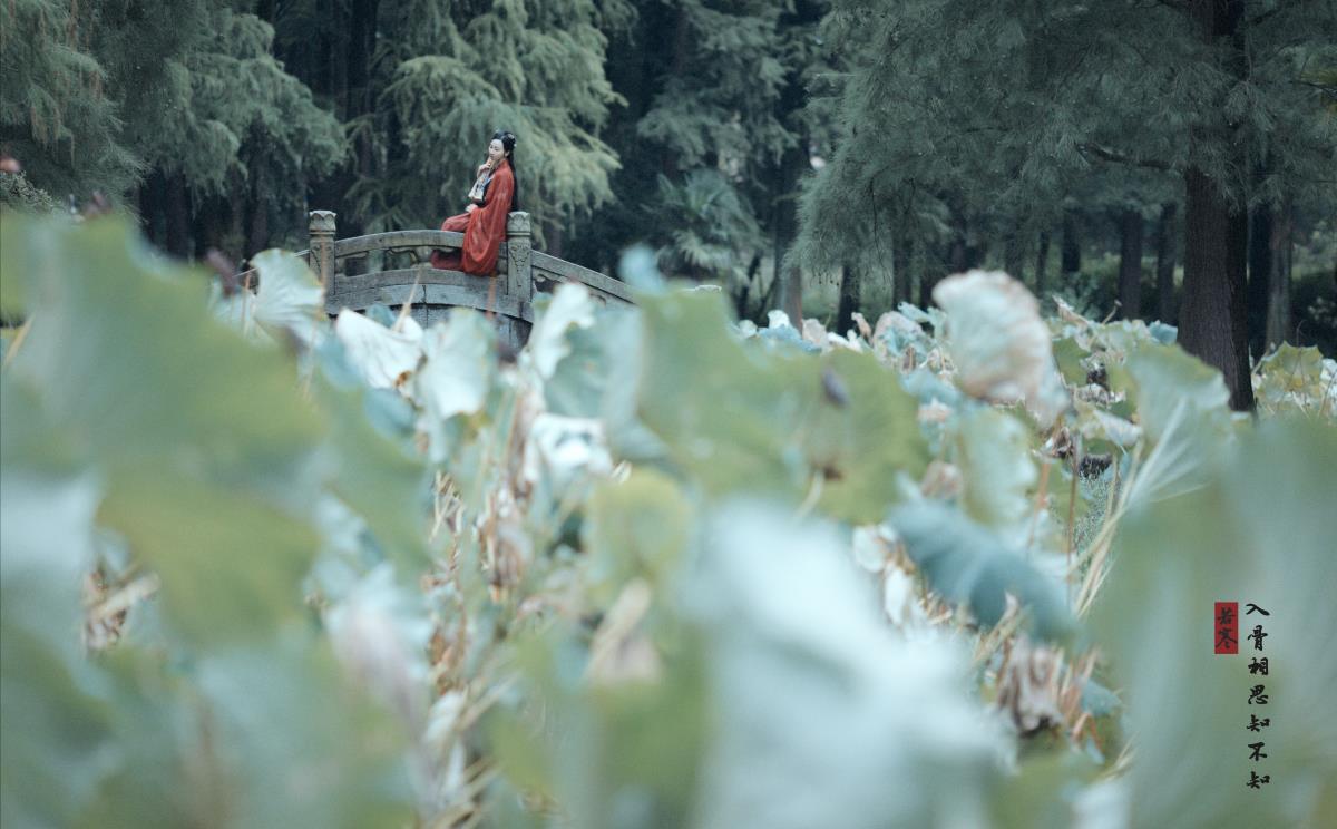 入骨相思 - 摄影:若寒Rock - 模特:v唱小游v-艺语图