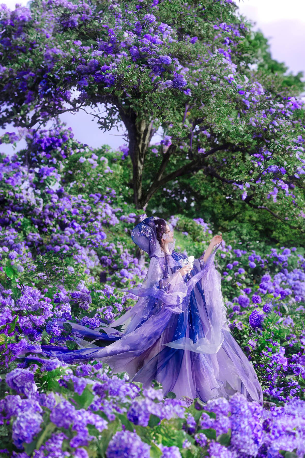 以花遥祝，四方葳蕤 – 摄影：开夜车的猫- – 模特：乐安-艺语图