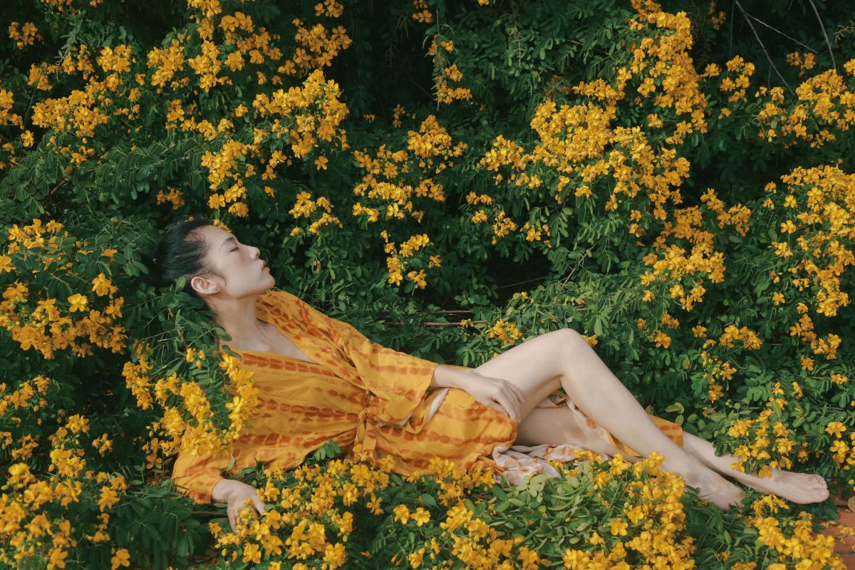 满树黄花 –-艺语图