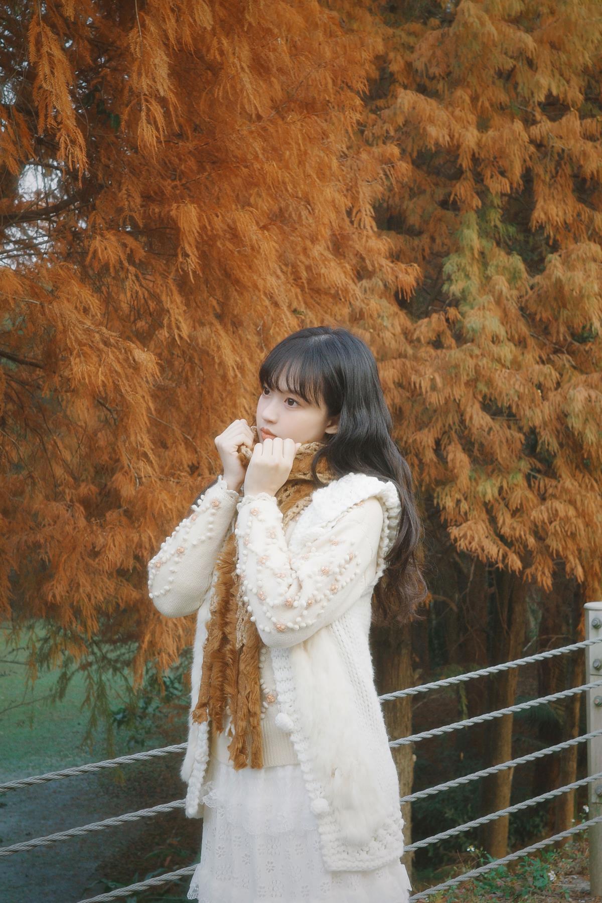 森林梦核 –-艺语图