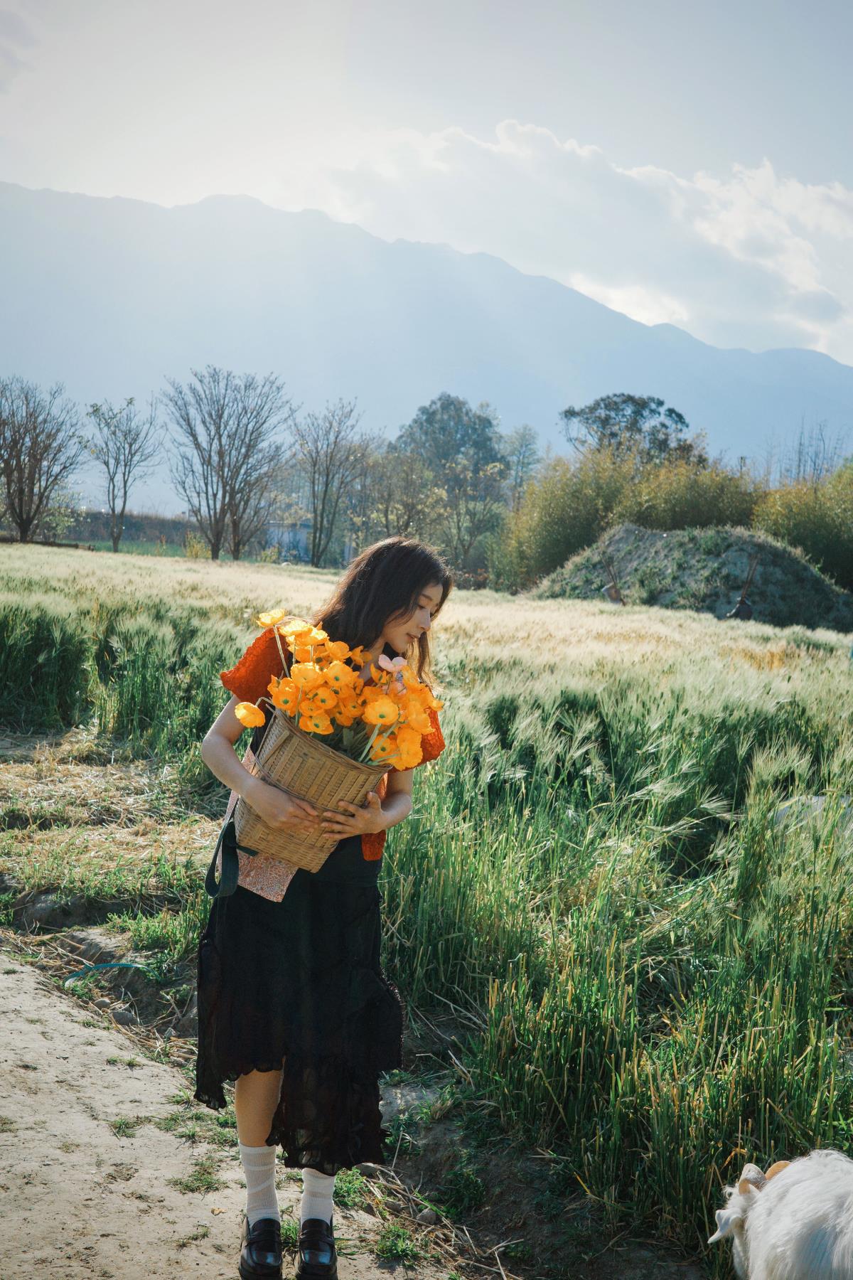 农场里的四季 –-艺语图