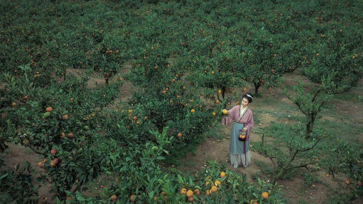 大橘为重 - 摄影：徐雨青 - 模特：冰皮月亮蛋~-艺语图