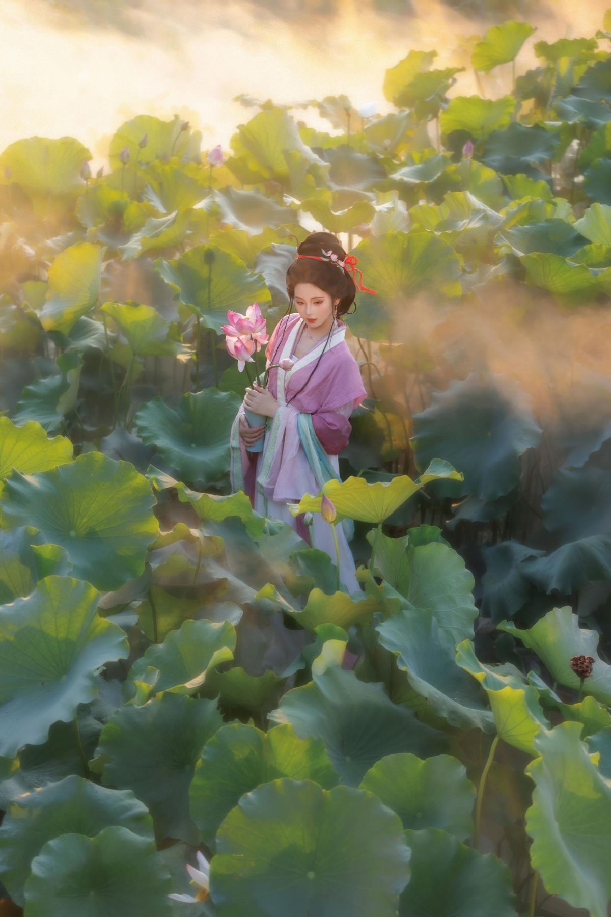 荷池烟 - 摄影：出门拍照的小小怪 - 模特：不听山-艺语图