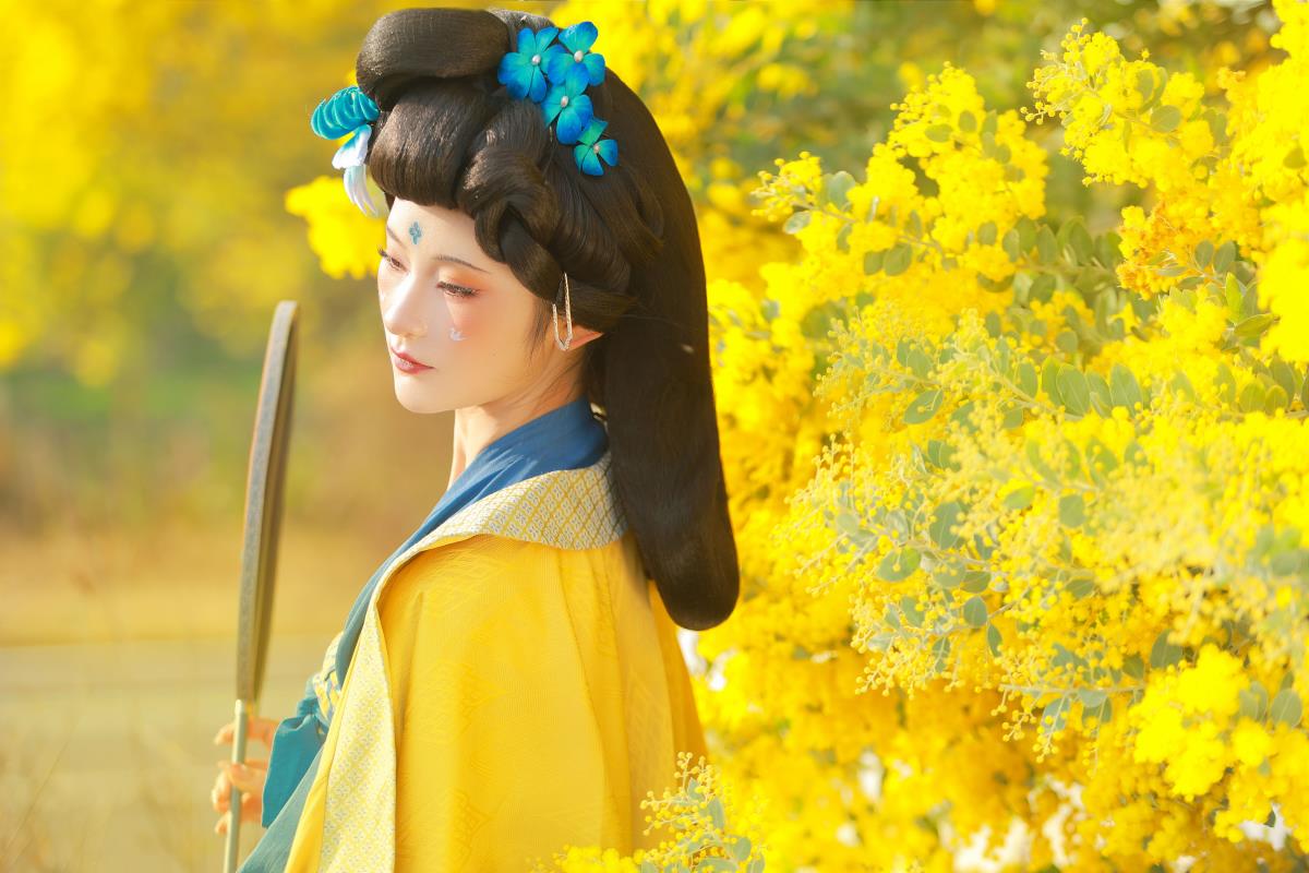 唐 • 金合欢 - 摄影：出门拍照的小小怪 - 模特：不听山-艺语图