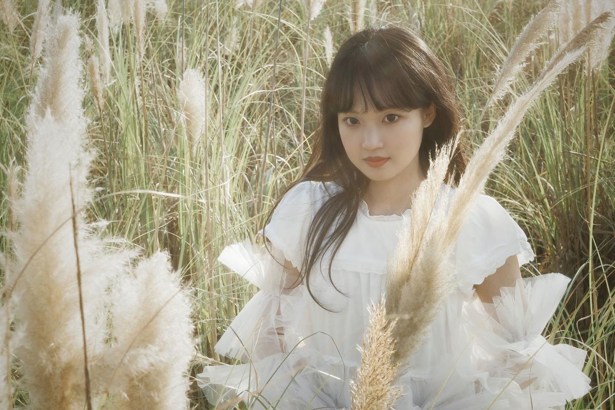 芦苇幻梦 --艺语图